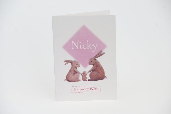 geboortekaartje nicky lichtroze
